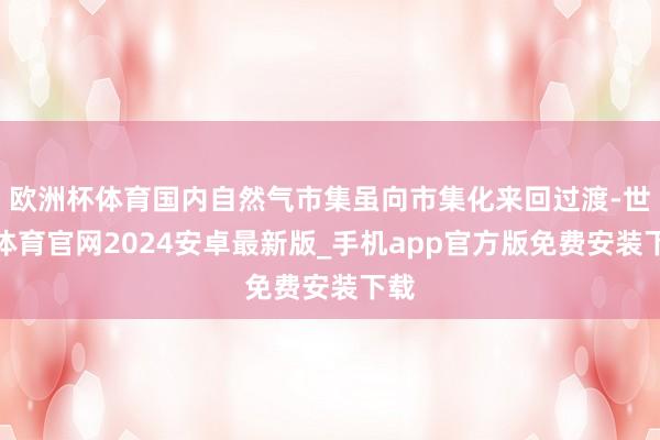 欧洲杯体育国内自然气市集虽向市集化来回过渡-世博体育官网2024安卓最新版_手机app官方版免费安装下载