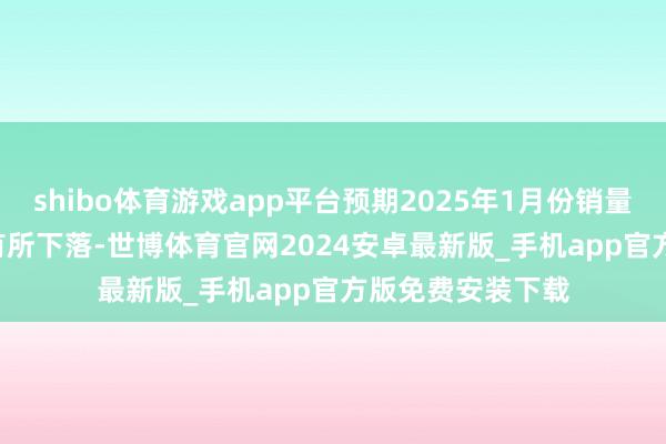 shibo体育游戏app平台预期2025年1月份销量较2024年12月有所下落-世博体育官网2024安卓最新版_手机app官方版免费安装下载