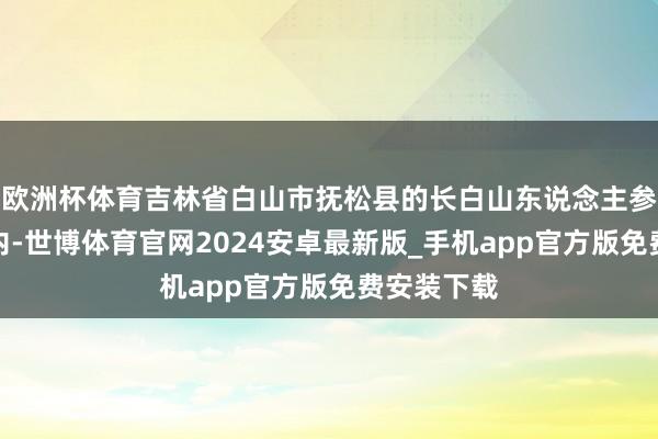 欧洲杯体育吉林省白山市抚松县的长白山东说念主参交游市集内-世博体育官网2024安卓最新版_手机app官方版免费安装下载