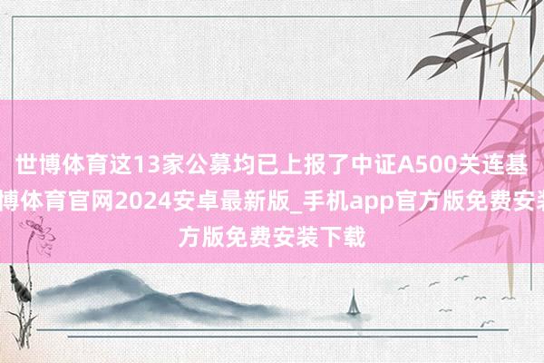 世博体育这13家公募均已上报了中证A500关连基金-世博体育官网2024安卓最新版_手机app官方版免费安装下载