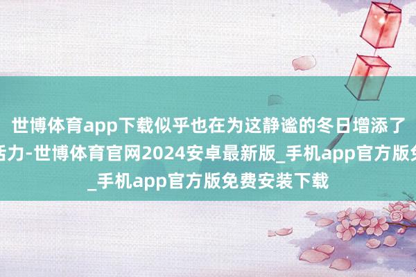 世博体育app下载似乎也在为这静谧的冬日增添了几分守望与活力-世博体育官网2024安卓最新版_手机app官方版免费安装下载