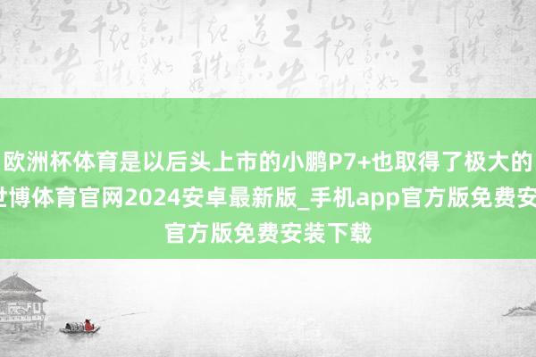 欧洲杯体育是以后头上市的小鹏P7+也取得了极大的到手-世博体育官网2024安卓最新版_手机app官方版免费安装下载