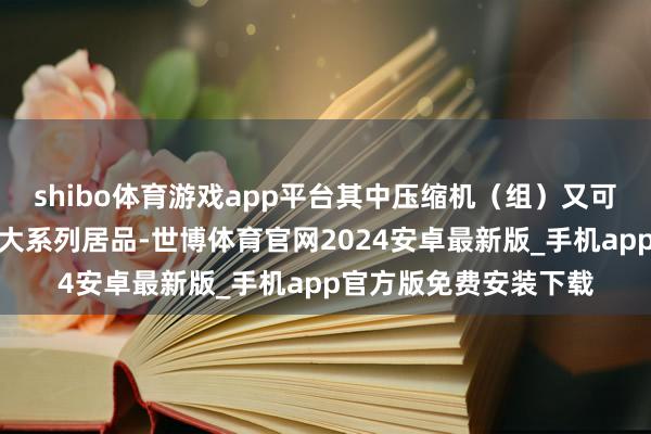shibo体育游戏app平台其中压缩机（组）又可细分为制冷和空压两大系列居品-世博体育官网2024安卓最新版_手机app官方版免费安装下载