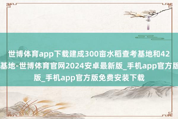 世博体育app下载建成300亩水稻查考基地和4200亩稻虾种养基地-世博体育官网2024安卓最新版_手机app官方版免费安装下载