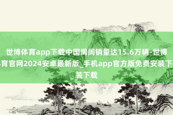 世博体育app下载中国阛阓销量达15.6万辆-世博体育官网2024安卓最新版_手机app官方版免费安装下载