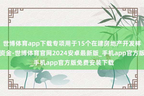 世博体育app下载专项用于15个在建房地产开发样子及补充流动资金-世博体育官网2024安卓最新版_手机app官方版免费安装下载