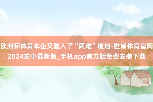 欧洲杯体育车企又堕入了“两难”境地-世博体育官网2024安卓最新版_手机app官方版免费安装下载