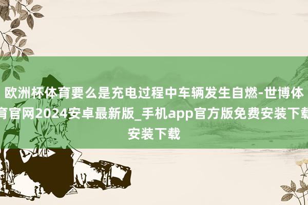 欧洲杯体育要么是充电过程中车辆发生自燃-世博体育官网2024安卓最新版_手机app官方版免费安装下载