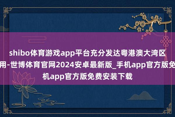 shibo体育游戏app平台充分发达粤港澳大湾区讼师专科作用-世博体育官网2024安卓最新版_手机app官方版免费安装下载