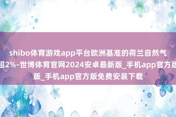 shibo体育游戏app平台欧洲基准的荷兰自然气期货价钱高涨超2%-世博体育官网2024安卓最新版_手机app官方版免费安装下载