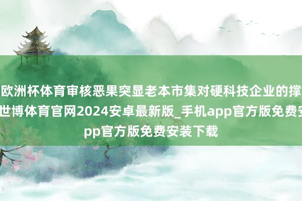 欧洲杯体育审核恶果突显老本市集对硬科技企业的撑抓力度-世博体育官网2024安卓最新版_手机app官方版免费安装下载